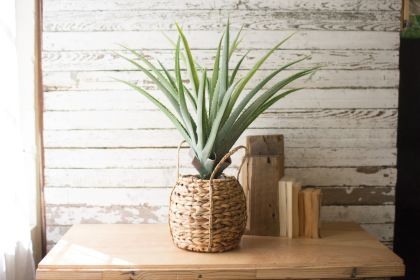 ARTIFICIAL ALOE IN A WOVEN SEAGRASS POT