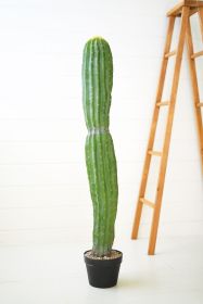 ARTIFICIAL SINGLE TRUNK CACTUS IN A PLASTIC POT