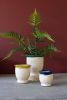 SET3 CERAMIC FLOWER POTS W RUFFLE-BLUE MUSTARD GREEN DETAIL