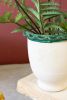 SET3 CERAMIC FLOWER POTS W RUFFLE-BLUE MUSTARD GREEN DETAIL