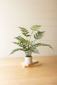 ARTIFICIAL FERN IN A CEMENT POT