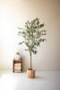 TALL ARTIFICIAL OLIVE TREE IN A BLACK PLASTIC POT