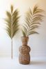 DECORATIVE FAN PALMS WITH BAMBOO STEMS