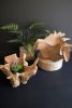 BLOOMING TEAK ROOT BOWL