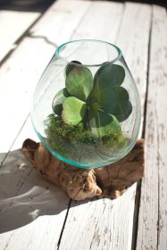 BLOWN GLASS BOWL ON DRIFTWOOD BASE - LARGE