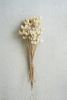 BUNDLE OF 24 BLEACHED BULLET FLOWERS ON STEMS