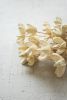 BUNDLE OF 24 BLEACHED BULLET FLOWERS ON STEMS