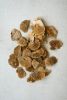 BAG OF 48 DRIED SPONGE MUSHROOMS