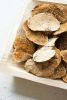 BAG OF 48 DRIED SPONGE MUSHROOMS