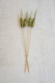 BAG OF 4 FAUX DRIED PINEAPPLE ON A STEM - GREEN